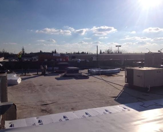 Edgeline Roofing recent roofing project